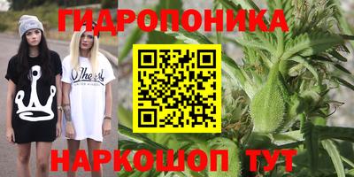 a pvp Магадан