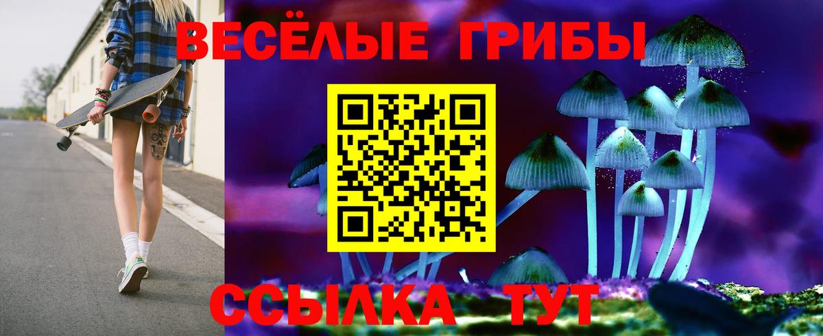 Сафоново  Галлюциногенные грибы прущие грибы  Вход с VPN 